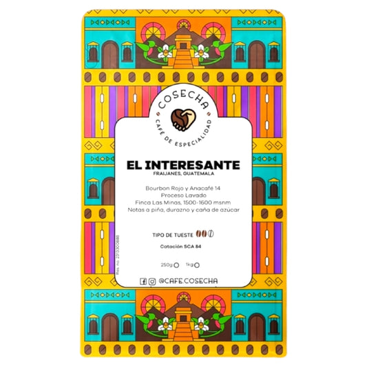 Café Interesante Guatemala molido - Cosecha