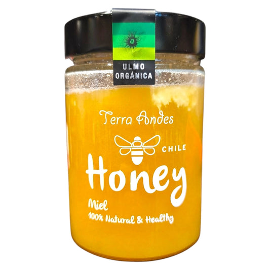 Miel de Ulmo orgánica frasco 400 gramos - Terra Andes
