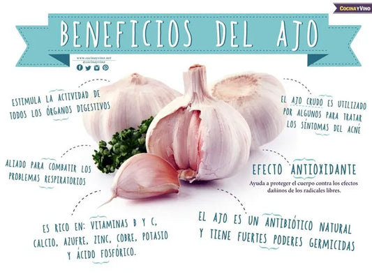 Pasta de ajo chilote miel y mostaza 120 gramos en frasco