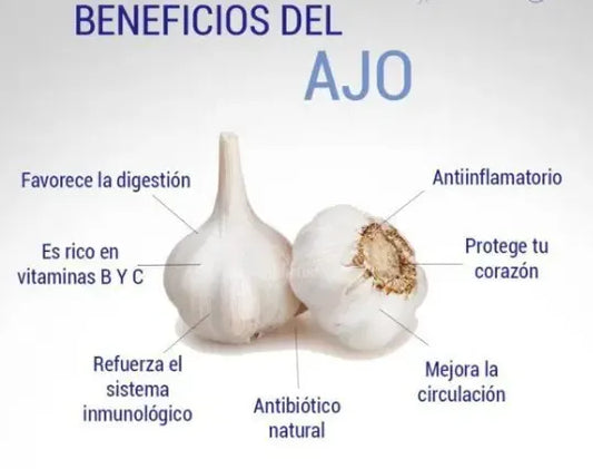Pasta de ajo chilote oliva 120 gramos en frasco