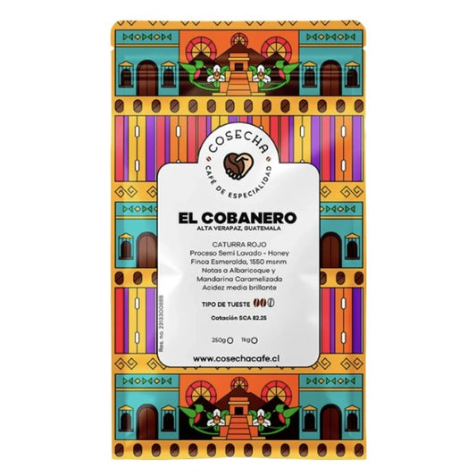 Café El Cobanero Guatemala grano - Cosecha