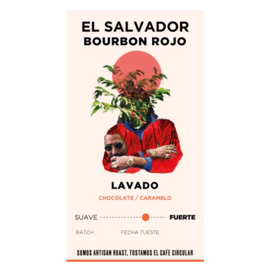 Café El Salvador El Ingenio molido - Artisan