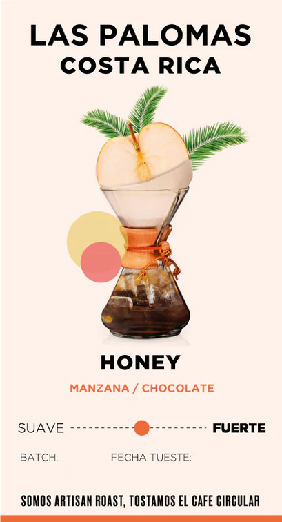 Café de grano Costa Rica Las palomas – Artisan Roast