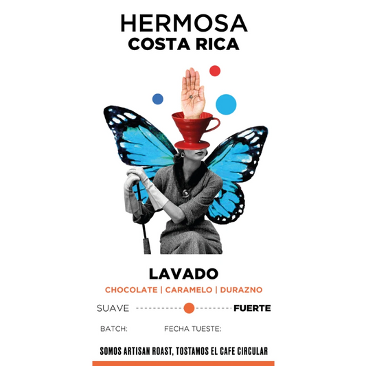 Café de Costa Rica Hermosa molido – Artisan Roast