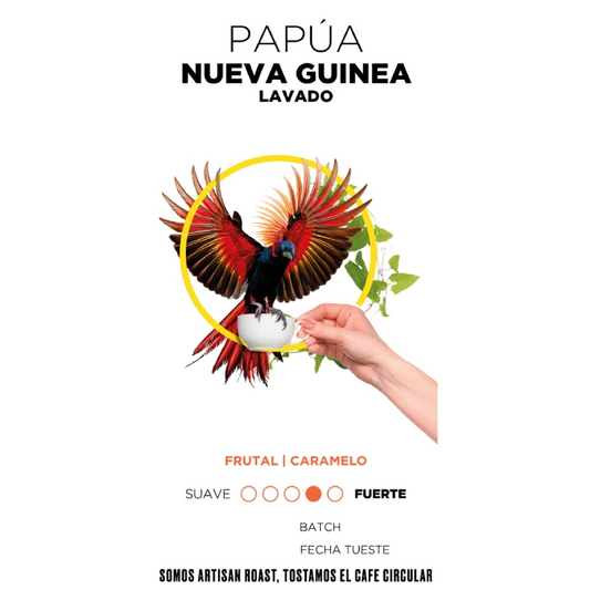 Café de Papua Nueva Guinea grano - Artisan Roast