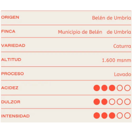 Café molido Colombia Lavado descafeinado 250 gramos