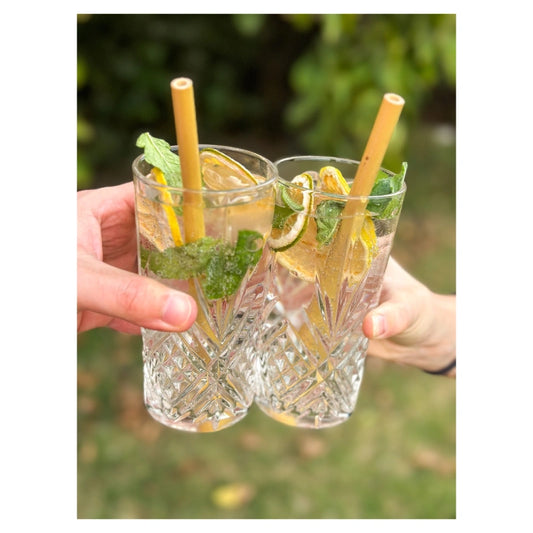 Limón deshidratado - Secao